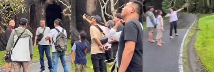 近日一中国女子游泰国动物园 疑拿弹弓射击猴子引泰国民愤 霸占泰国热搜！真是丢人丢到国外去了
