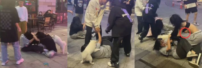 街斗之女人开启撕逼大战连奶子都打出来了 小狗趁乱也上去咬了几口奶子直接拿下本场MVP！