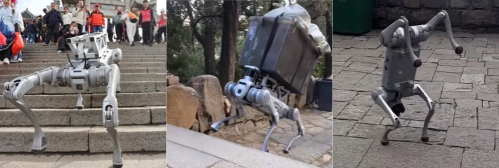 科技与人类的完美结合 机器狗的崛起之泰山机器狗运垃圾 外交部华春莹发文点赞 科技造福人类！