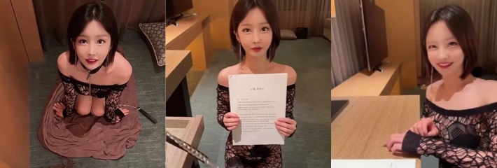 韩国前女团模特成员SunWall惊人新作 身穿透视情趣装化身母狗 被财阀盯上签约为奴 调教中迷失自我