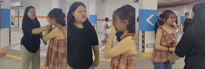 全网人肉黑衣服死肥猪 地下停车场疯狂霸凌女孩扇耳光 脸都被打肿了！