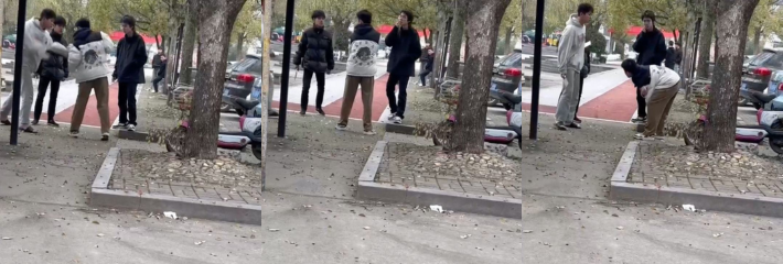 肥乡区旧店中学霸凌事件 李程 张兆龙 年纪轻轻就提刀对同学大打出手！