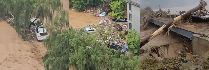 陕西宝鸡 狂风暴雨 庄稼活过了前些日子的干旱 却死在了今天的洪水！