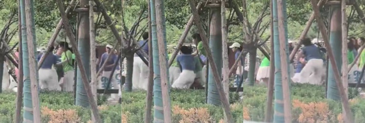 吃瓜看戏 集美街头打架乱作一团 拳脚相加火爆全场 围观群众嗨翻天！