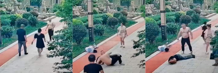 国产鲁智深再现江湖 拔垂杨柳零帧起手 闪电拳头捶趴一家人 监控视频流出全网疯传！
