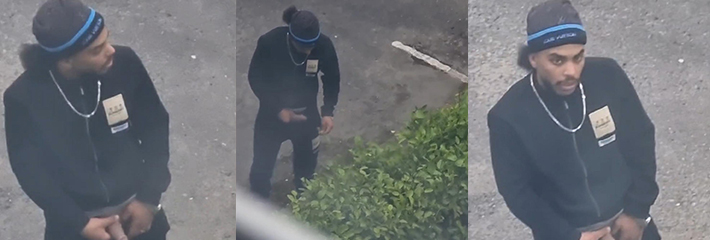 英国瓜友抓拍搞笑一幕 大屌猛男随地小便后竟用树叶擦黑鸡巴？