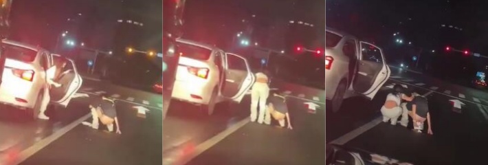 有味道的视频 南沙红绿灯路口拉屎 这是憋不住了吗 还有美女下来送纸