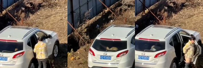 辽宁源吉小伙恋上老阿姨 不想开房追求刺激 在野外激情车震被路人拍下