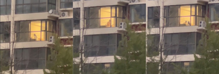 一小区夫妻窗台边做爱不拉窗帘上演活春宫，被邻居清晰拍下全过程 还更换各种体位 真刺激！