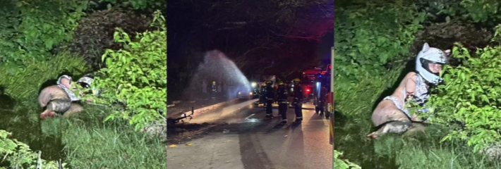 女骑士车祸 烧车 救一下吧 衣不蔽体 躲草丛了 衣服全部烧没有了 酥胸在风中摇荡！
