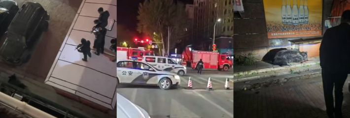 黑龙江宝清县熊出没 为了保护人民群众的生命和财产安全 警方连开10多枪将其当场击毙！