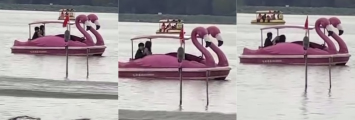 年轻情侣湖中央大胆寻刺激 动作幅度超大误以为无人发现 户外激情画面