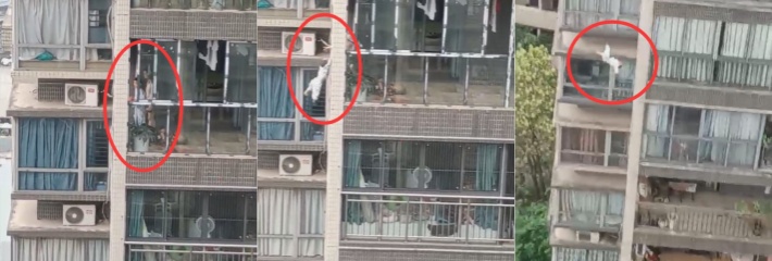 重庆女子砍伤婆婆 22楼扔下子孩事件 对面楼拍下全过程 完整版视频曝光！