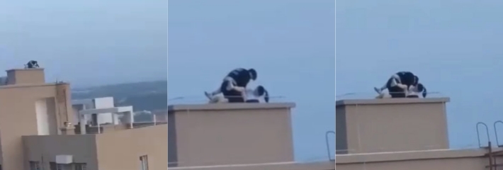 小情侣天台操逼 真会找到地方 天为被地位床 叫破喉咙也无妨啊 精彩画面幸好有好心人记录永恒！