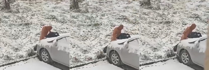 一光头男子 性压抑到极致不管不顾 在雪地里脱光衣服 日引擎盖 太牛逼了！