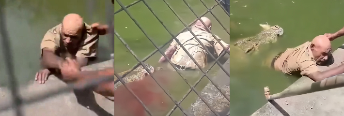 巴布亚新几内亚动物园员工 喂鳄被咬住双腿拖下水失血身亡 现场画面极度惊悚