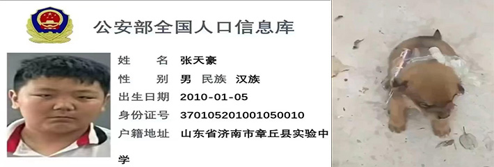 山东济南章丘县 实验中学 张天豪 用鞭炮炸虐狗 遭全网开盒 慎入