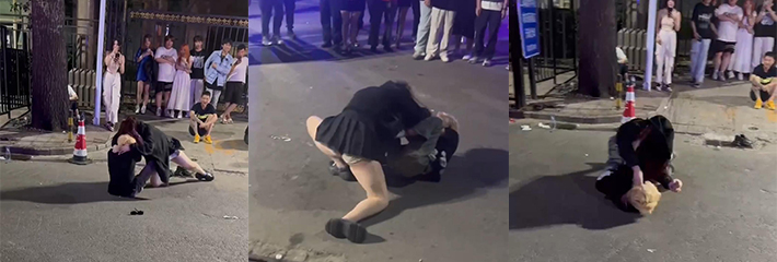 现场围观 坦克大战细狗 黄毛细狗居然连女人都打不过