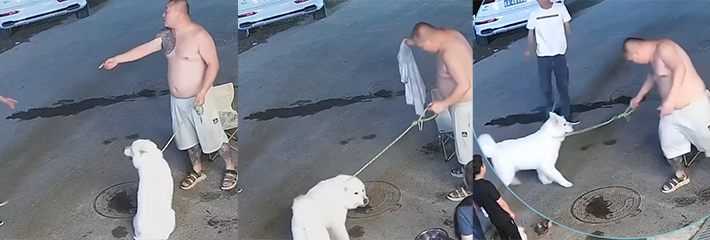 猎奇搞笑 吃大哥 喝大哥 睡大哥的 没事还用尿呲大哥！