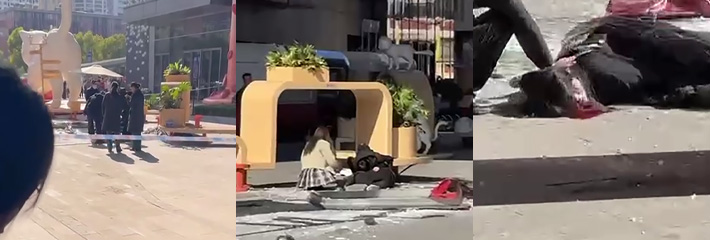 合肥银泰中心一玻璃掉落砸到路人酿出悲剧 受害人已然倒地不起 现场视频流出