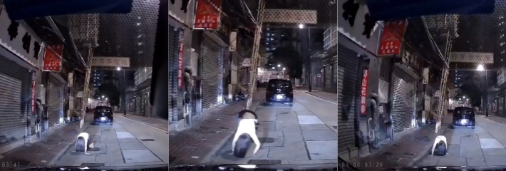 胆小勿入 香港一大哥去开车发现车前有女鬼，看清后也非常后怕竟然是怨气十足的贞子!