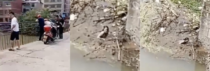 广东广州女子跳河自杀 选择河面较浅导致插在淤泥里 求死不得崩溃大哭