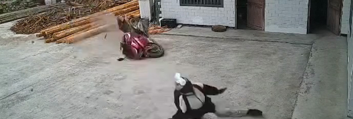 现在骑车人也太生猛了 嗖一下就过去了 啪一下就躺地上了 只见其车不见其人啊!