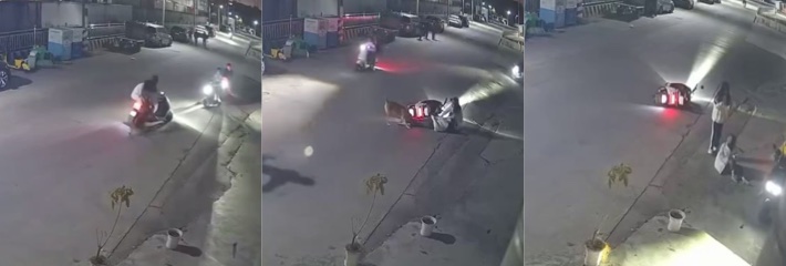 路过姐妹被未拴绳疯狗疯狂追咬 腿血肉模糊 外卖小哥制止众人合力打死狗！