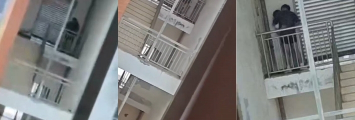 四川高级职业中学小情侣课间欲火难耐翘课出楼梯间口交被偷拍曝光引发吃瓜热议！