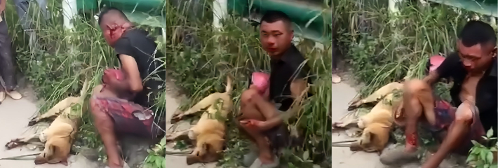 广东佛山小黄狗被杀死倒在草丛中 偷狗贼被抓现行被人疯狂殴打满头都是血