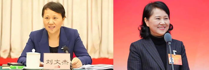 湖南省财政厅厅长 刘文杰 意外去世 在场人士声称 现场有三人坠楼已死亡！是自杀还是他杀？