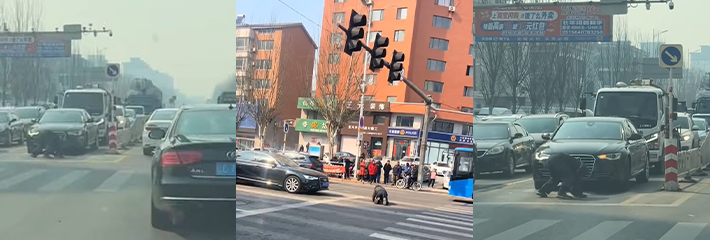 辽宁营口大石桥 大爷跪趴 奥迪车底碰瓷 司机紧急刹车 险酿人命！