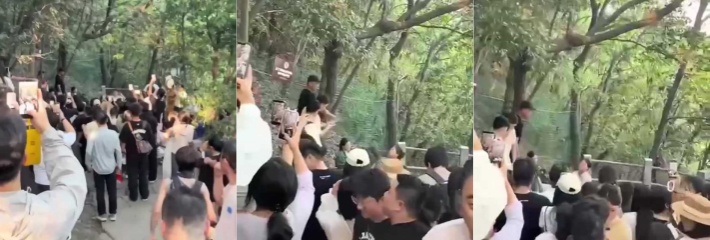 抓奸吃瓜 杭州北高峰神级绿帽现场 情侣爬山双双出轨半路撞车