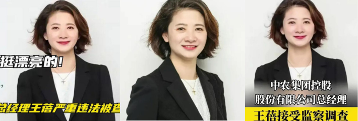 中农集团美女总经理王蓓落马 长相漂亮风韵犹存和领导存在不正当关系 偷情视频曝光流出