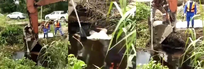 真实惊悚鳄鱼吃人惨案 挖掘机打捞现场就剩半截身体 救援现场太惊人