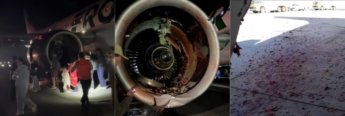 美国边疆航空 4345航班 行人翻围栏闯入跑道 惨被吸进引擎惨死 现场血肉模糊