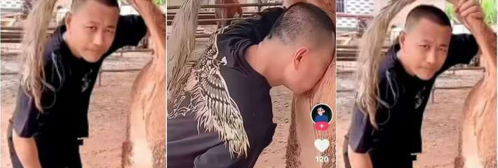 快手350W粉丝网红 鬼马 直播间低俗行为“亲牛逼”为了博取流量也是真的拼了！