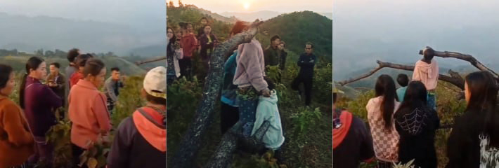 悲惨故事一根绳子两头吊 女方父母不同意婚姻 两小无猜的年纪把生命都留在了村口的山坡老枯木上！