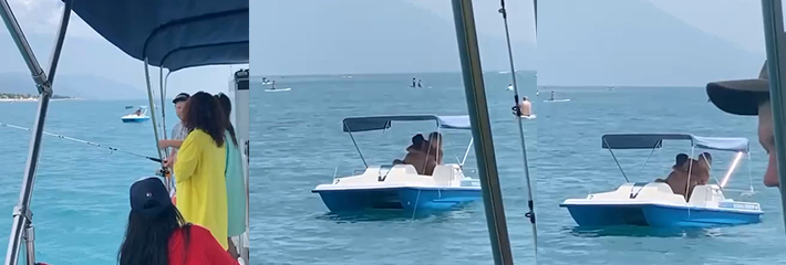 车震见得多了 船震见过吗？ 这是真浪漫啊 这么多人看着你 不阳痿的吗？