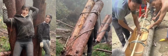 女汉子是怎样炼成的 为了生存两女子扛硕大原木下山 知道真相气愤不已！为了流量魔术抖整起来了