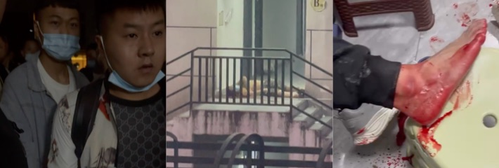 继缅北卧虎山庄事件曝光后 妙瓦底顺达园区1125冲上热搜榜 民地武朝狗推门扫射 现场视频曝光！