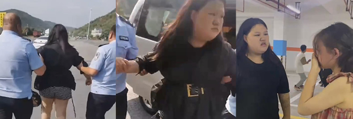 大快人心 陕西靖边遭全网人肉的黑衣死肥猪 被抓捕归案！
