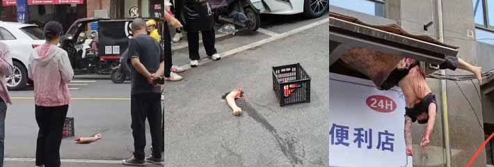 合肥橡树湾二期 夫妻吵架男子直接把老婆的胳膊砍掉扔下楼 然后跳楼自杀 现场视频曝光!