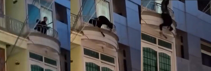 越南邦美蜀市 一名男子在阳台割断自己脖子 无意识从三楼坠落身亡 现场目击者惊恐不已！