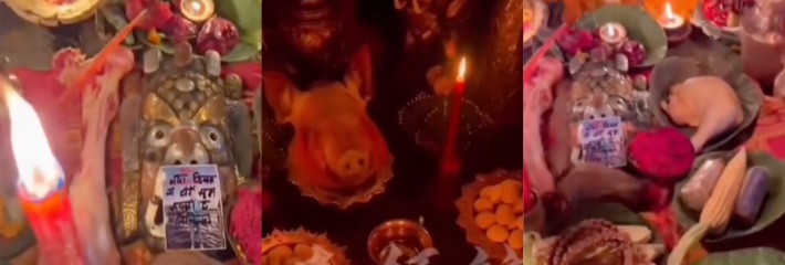 抖音热搜事件 泰国鬼娃娃 祭祀现场诡异 猪头供品血腥画面曝光