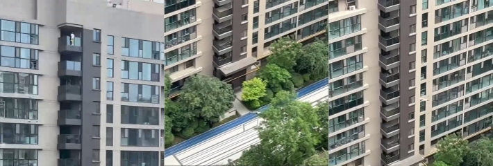 山东省淄博福园小区 刚毕业研究生无法就业，绝望自杀 现在的年轻人压力太大抗压能力太低！