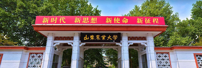 山东农业大学一学生情侣在自习室里口交整活！全程偷拍全程流出疯传校园！