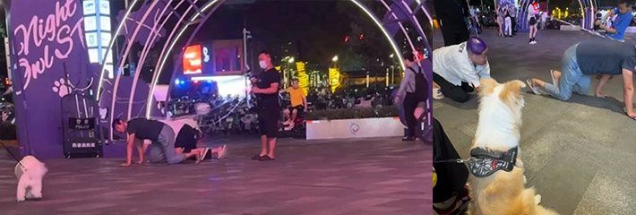 太炸裂了 深圳龙华一方天地 一名男子牵引着两个男奴出街 把小朋友都看笑了！