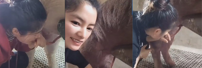 淫荡少妇听说精液美容养颜后直接就用口给猪取精？！取精的方式果然异于常人！