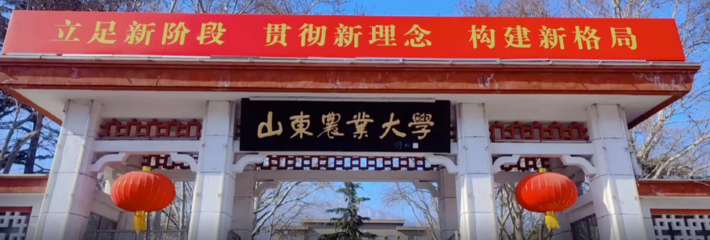控诉山东农业大学体院 邢jin禄 ！曝光该男子出轨、无缝衔接还犯过猥亵罪甚至强奸未遂！